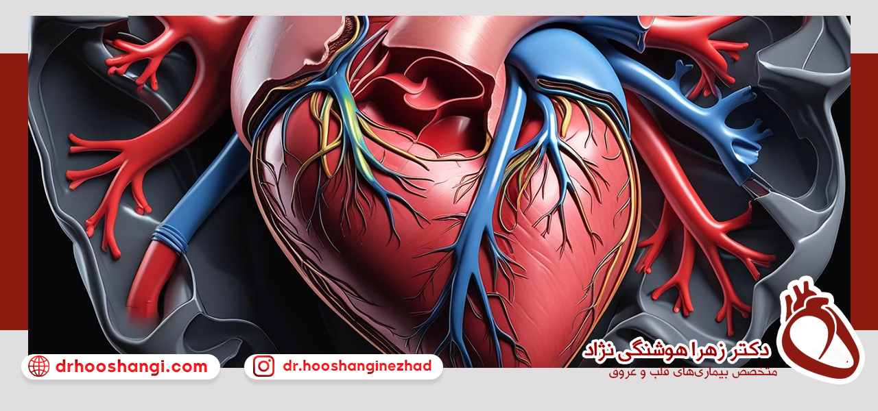 عملکرد قلب چگونه است؟